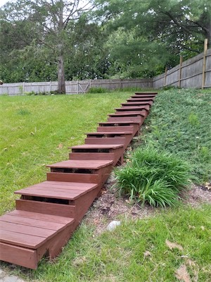 RedSteps-squashed.jpg