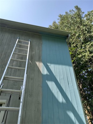 TallBlueShed-squashed.jpg